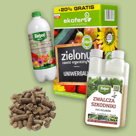 Ekologia